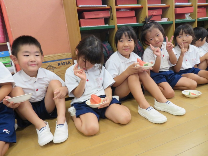 太陽学院 太陽の子幼稚園 第二太陽の子幼稚園 太陽こころ幼稚園 制服 -